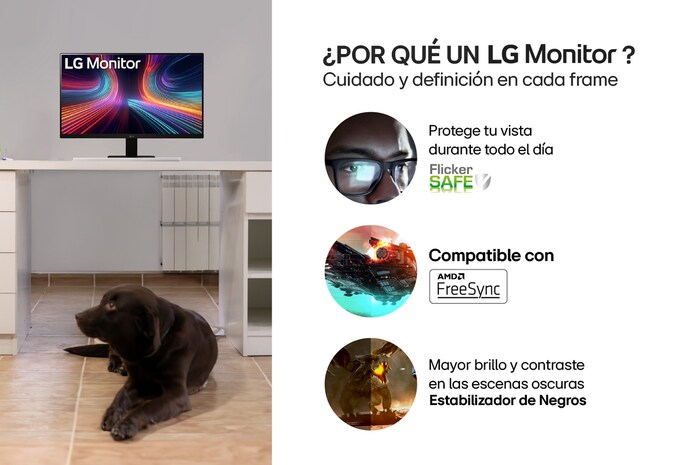 Información Monitor IPS FHD - 24MR400